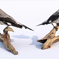 Two Realistic Birds Perched on Natural Driftwood Branches White Background 3d model
