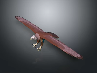 Flying Eagle Spreading Wings with Brown and White Feathers and Extended Claws Against Gray Background 3d model