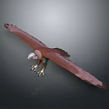 Flying Eagle Spreading Wings with Brown and White Feathers and Extended Claws Against Gray Background