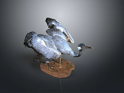 Two Grey Blue Crane Birds Standing On Brown Base Against Dark Background 3d model