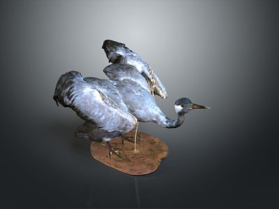 bird game animal cartoon animal realistic animal 3d model