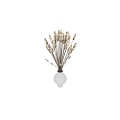 White Vase Holding Fluffy Pampas Grass Flowers On Clean White Background