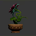 Pink Flowering Plant with Green Leaves and Pink Petals in Brown Decorative Pot