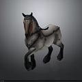 White Body Horse With Brown Face Black Mane Blue Accent And Black Legs