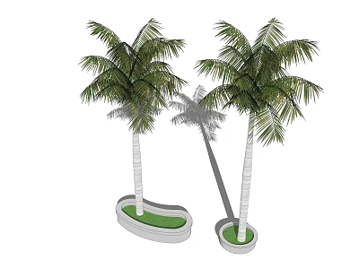 Modern Palm Tree Plant Tropical Plant Coconut Tree Alien Tree Pool 3d model