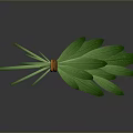 Fresh Green Leafy Plant Bundled With Orange Elastic Band And Vibrant Foliage