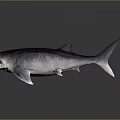 Realistic 3D Fish Model With Detailed Fins Sleek Tail And Gray Background