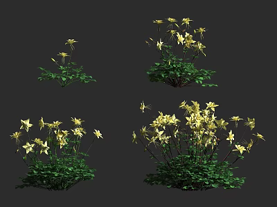 Vibrant Yellow Flowers With Lush Green Leaves In Different Natural Clusters 3d model
