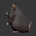 Gray Mouse Standing Upright with Large Pink Ears and Pink Paws on Black Background