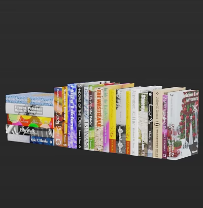 Colorful Books and Magazines Collection with Various Covers Neatly Arranged Together 3d model