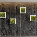 Living Plant Wall with White Framed Square Plant Boxes on Black Rock Textured Wall