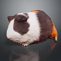 Children With Cute Brown White Black Guinea Pig As Playful Pet Friend