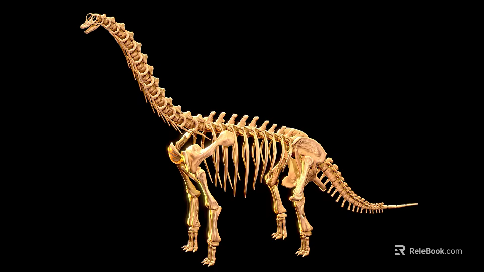 Golden Reptile Skeleton With Long Neck Display On Black Background Structure 3d model 