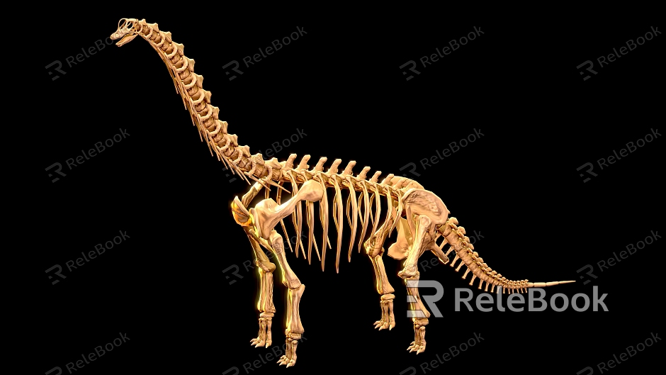 Brachiosaurus dinosaur reptile skeleton Dinosaur fossil 2 model