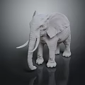 Realistic White Elephant 3D Model Rendered on Dark Reflective Surface