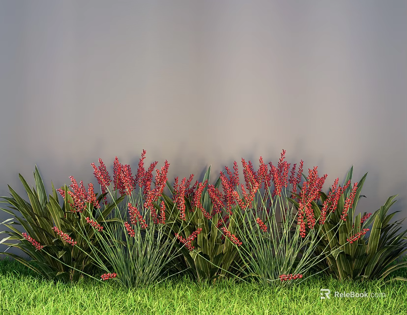 Ground Cover Plants Featuring Red Spiked Flowers And Green Foliage In Garden 3d model 