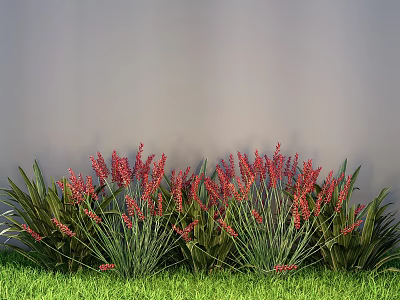 Ground Cover Plants Featuring Red Spiked Flowers And Green Foliage In Garden 3d model