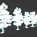 Tall Green Arbor Trees with Lush Foliage Arranged in a Row 3d model