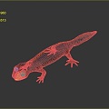 Lizard Anime Lizard Cartoon Lizard Reptile Cold Blooded Animal Reptile Reptile 3d model