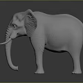 White Elephant Model With Detailed Trunk Long Tusks And Smooth Surface On Dark Background 3d model
