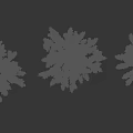 Three Trees With White Flowers And Green Leaves Against Black Background