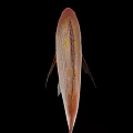 Reddish Brown Aquatic Fish With Prominent Scales And Fins On Black Background