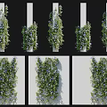 Lush Vines with Green Leaves and Purple Flowers Growing on White Pillars and Walls
