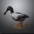 Detailed Blue Headed Duck Figurine With White Brown Feathers On Stone Base