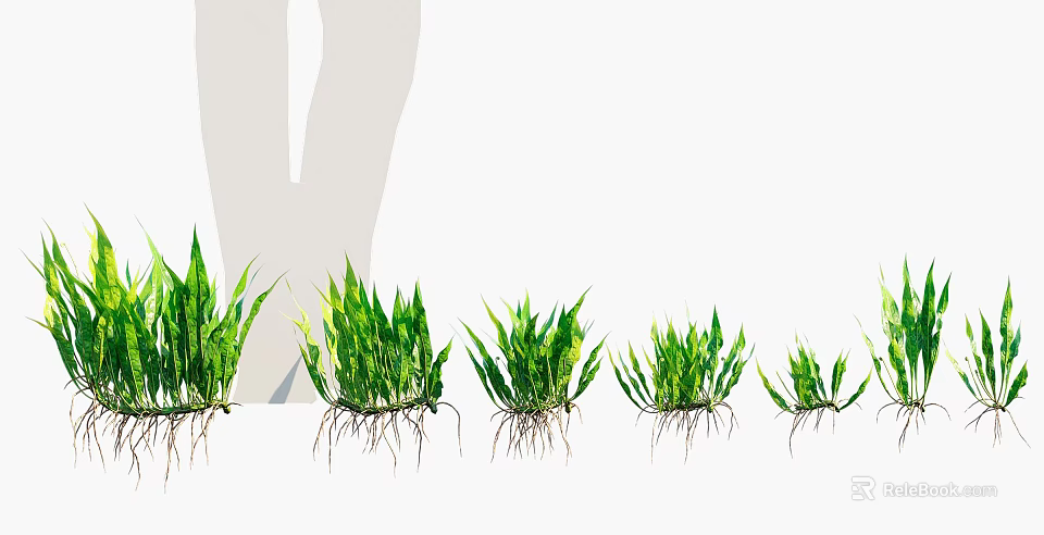 Fresh Green Plants With Exposed Roots Lined Up On White Background 3d model
