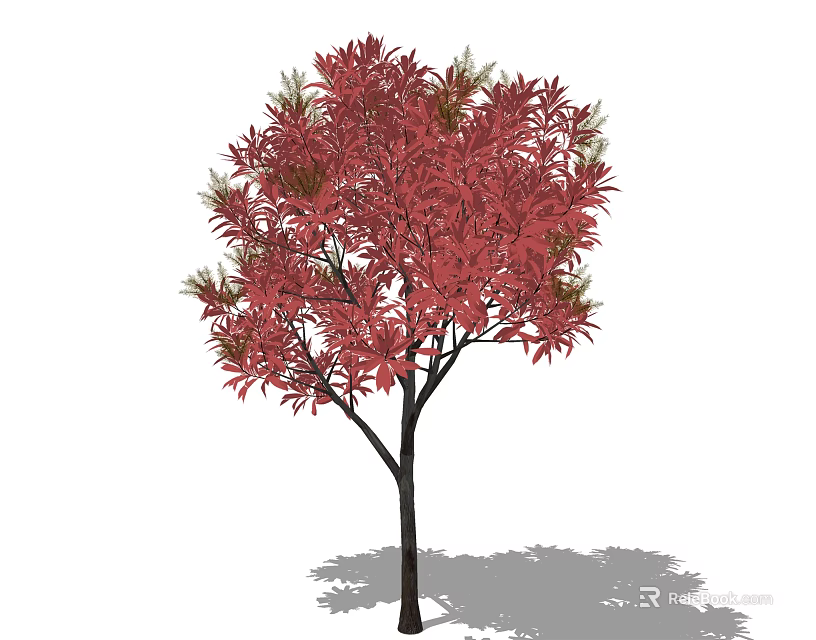 Lush Arbor With Vibrant Red Foliage Black Trunk And Shadowy Ground 3d model