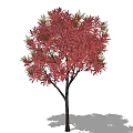 Lush Arbor With Vibrant Red Foliage Black Trunk And Shadowy Ground 3d model