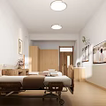 Modern Hospital Ward Interior With Medical Bed Bedside Table Cabinet Paintings Plant And Warm Lighting