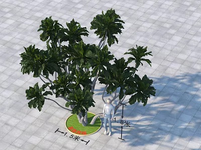 Lush Arbor With Green Foliage 5m Height 6m Crown On Gray Tiled Ground 3d model