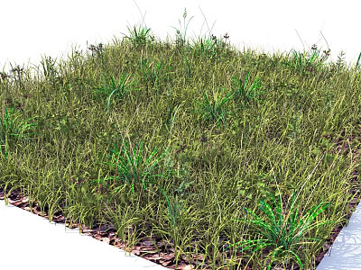 Lush Green Grass with Various Grasses and Herbaceous Plants in Natural Setting 3d model