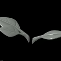 White Plant Leaf Shaped Objects On Black Background With Reflective Surface