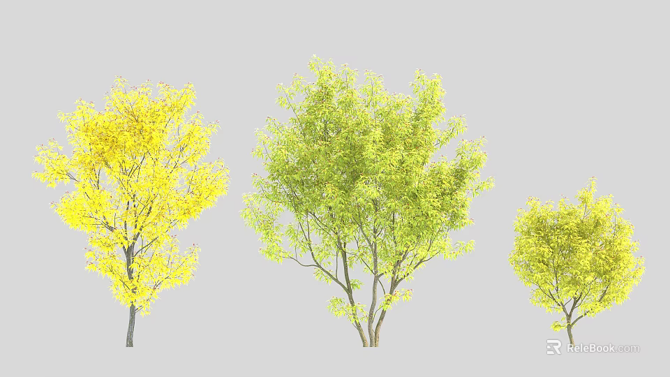 Arbor Trees With Different Colored Foliage Yellow And Green Leaves For Garden 3d model 