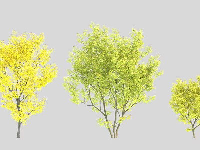 Arbor Trees With Different Colored Foliage Yellow And Green Leaves For Garden 3d model