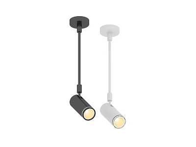 Adjustable Black and White Ceiling Spotlights with Modern Design and LED 3d model