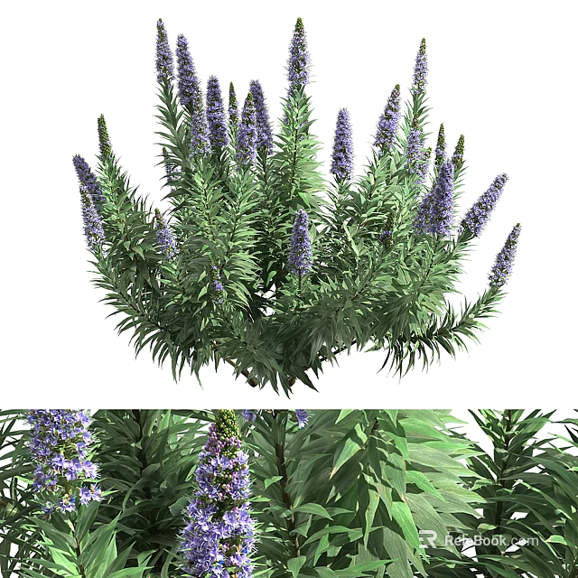 Beautiful Purple Flowered Shrub With Lush Green Leaves And Vibrant Blooms 3d model 