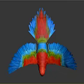 Colorful Parrot Flying With Vibrant Blue Red Green Feathers In Mid Air