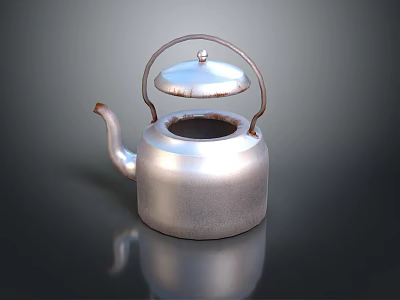 Shiny Silver Metallic Household Kettle With Lid And Handle For Kitchen Use 3d model
