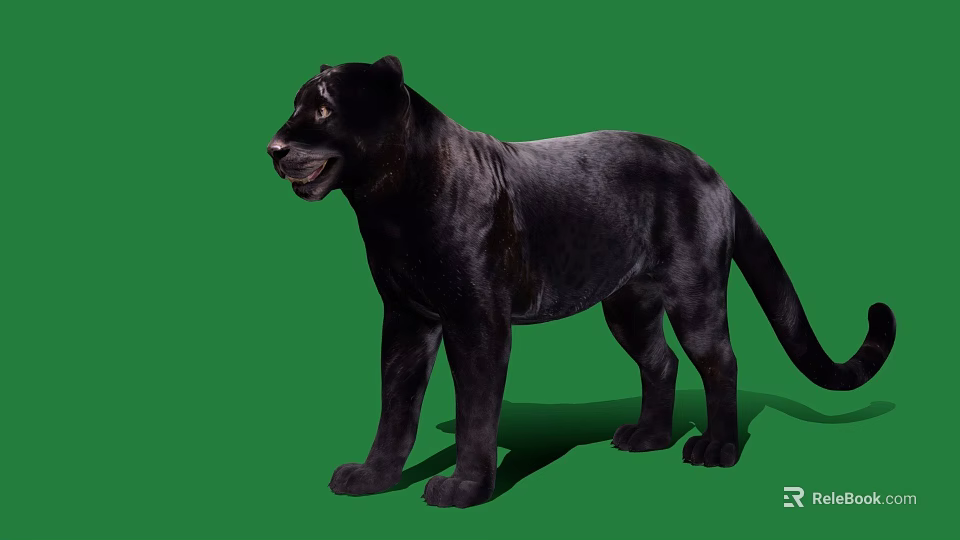 Realistic Black Panther Game Movie Character 3D Model on Green Background 3d model 