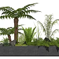 Lush Ferns and Green Plants with Rocks in Concrete Planter for Garden Decor