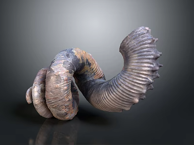 Curved Spiral Textured Household Item With Gray Brown Black Color And Ridged Surface 3d model