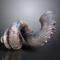 Curved Spiral Textured Household Item With Gray Brown Black Color And Ridged Surface
