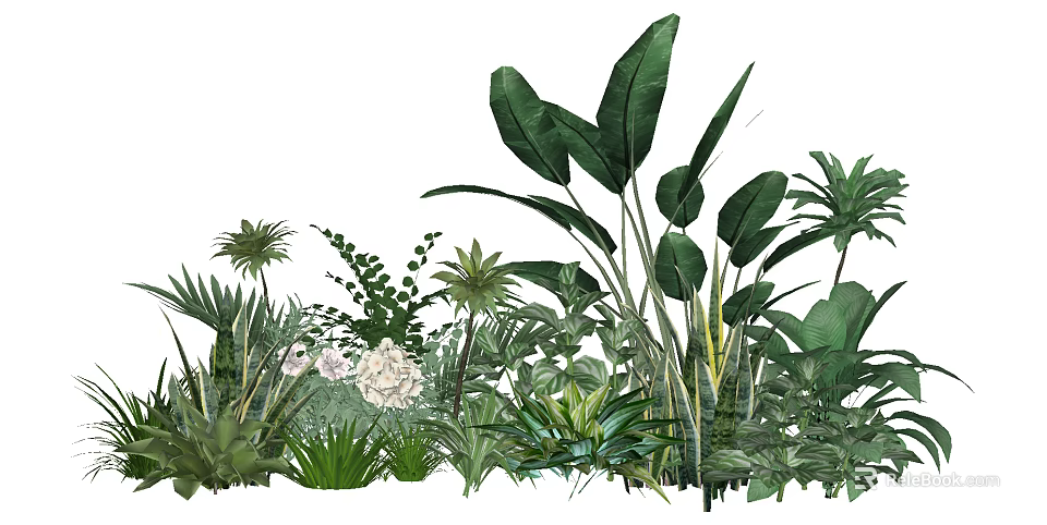 Tropical Green Plants Collection With Large Leaves Palms Ferns And White Flowers 3d model 