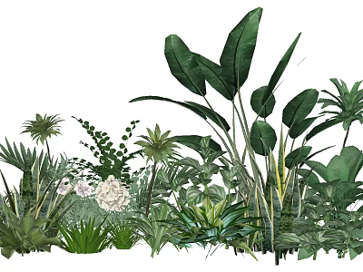 Tropical Green Plants Collection With Large Leaves Palms Ferns And White Flowers 3d model
