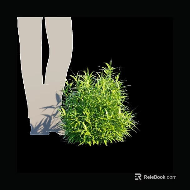 Lush Green Bamboo Plant with Leafy Foliage and Natural Shadow 3d model 