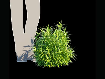 Lush Green Bamboo Plant with Leafy Foliage and Natural Shadow 3d model