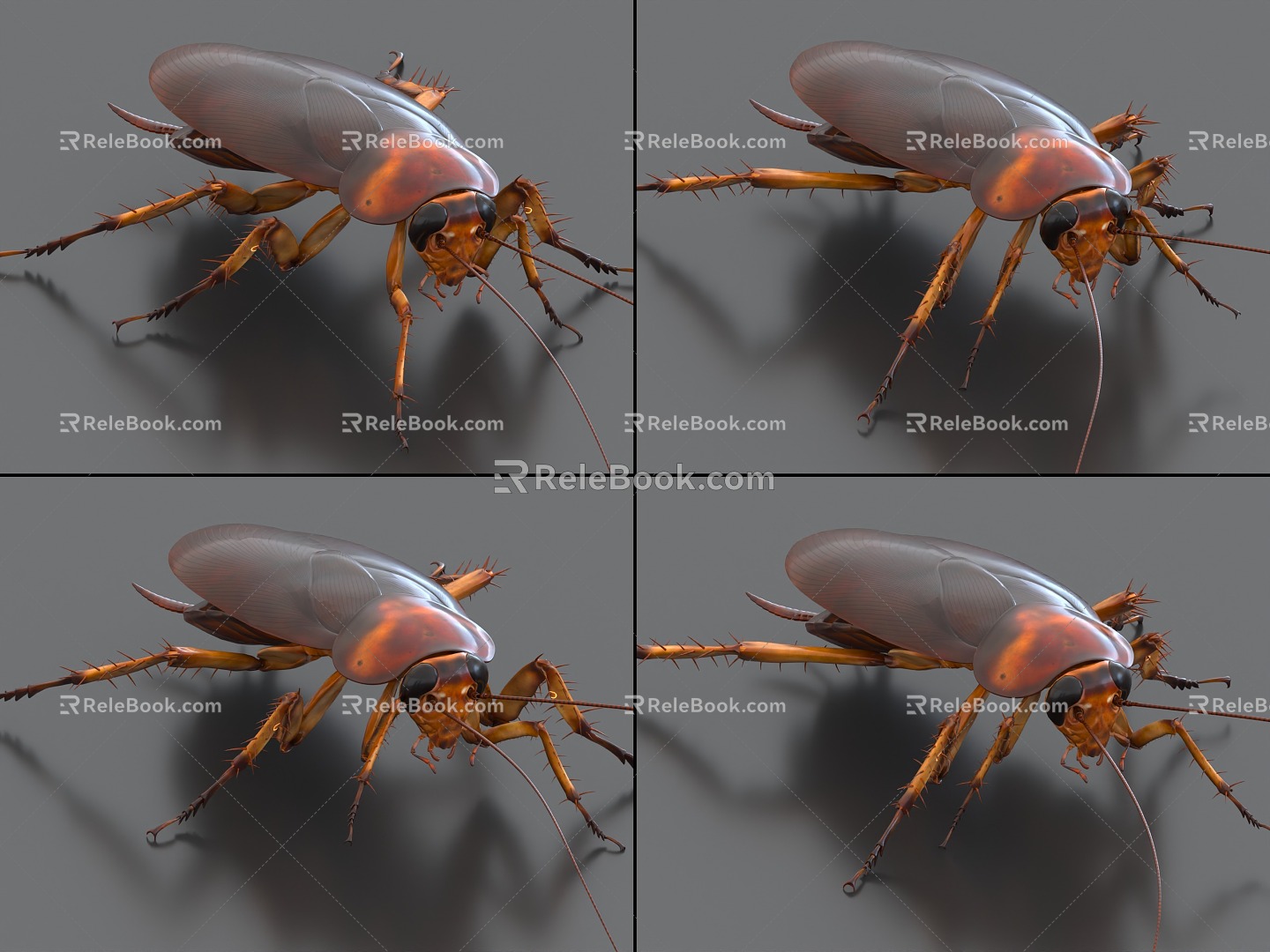 Cockroaches with binding and crawling animation Xiaoqiang insect pests 3d model